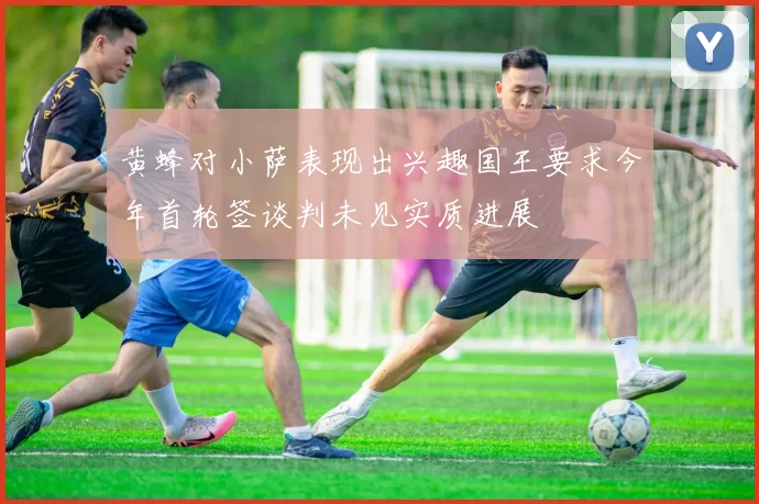黄蜂对小萨表现出兴趣国王要求今年首轮签谈判未见实质进展